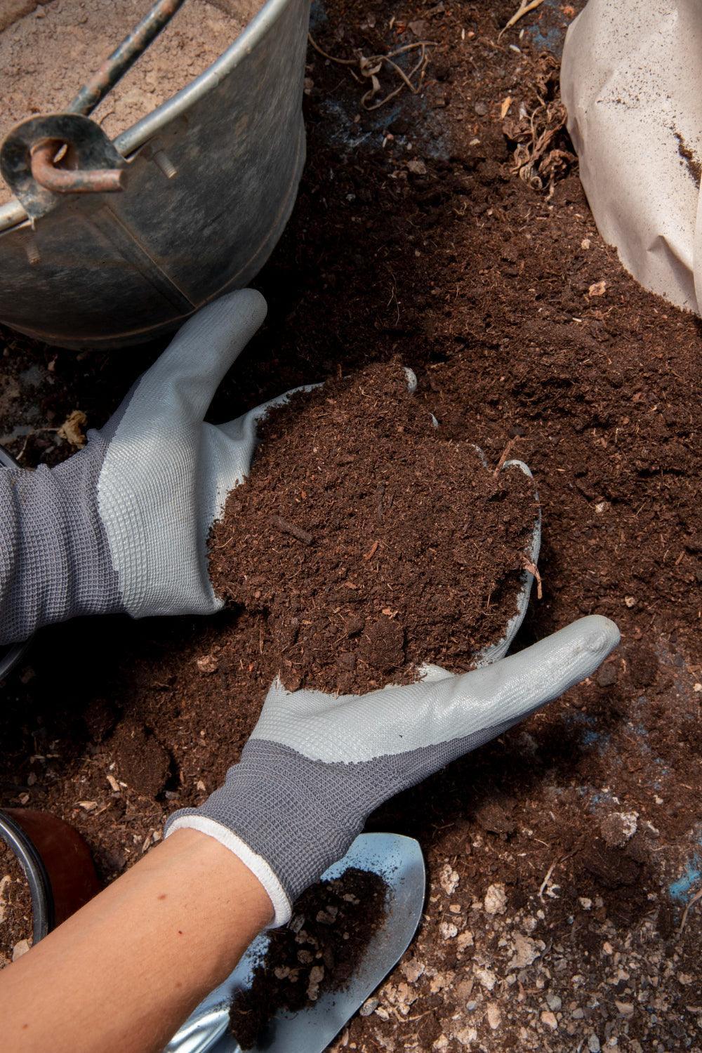 The Best Tips to Improve Compost - envii
