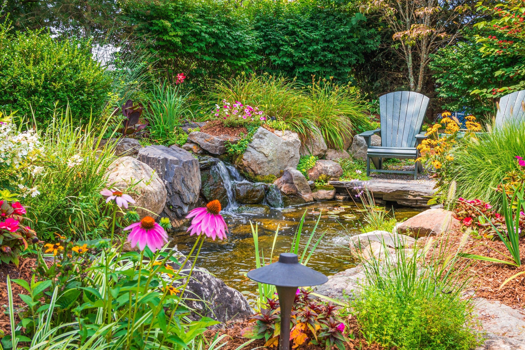 How to Maintain Healthy Pond Oxygen Levels - envii