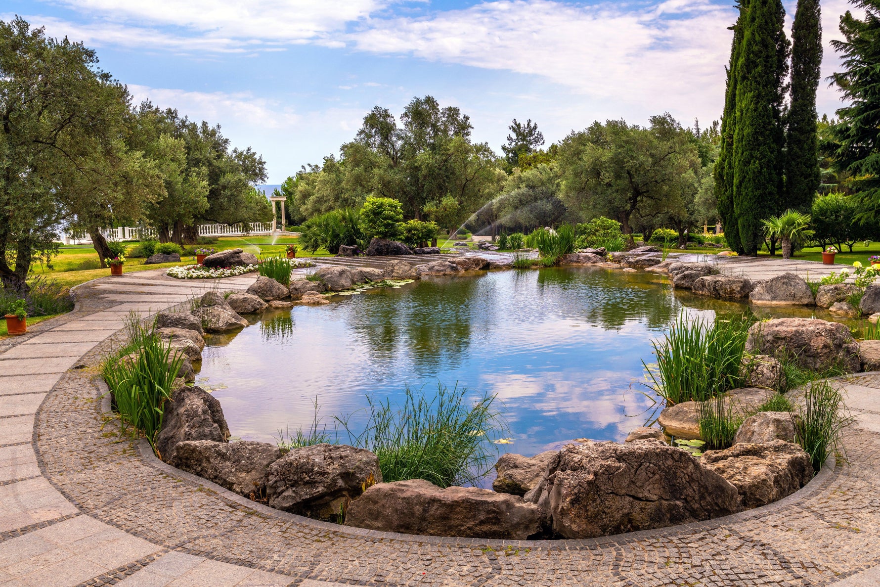 Pond Oxygen Levels: The Danger in Summer - envii