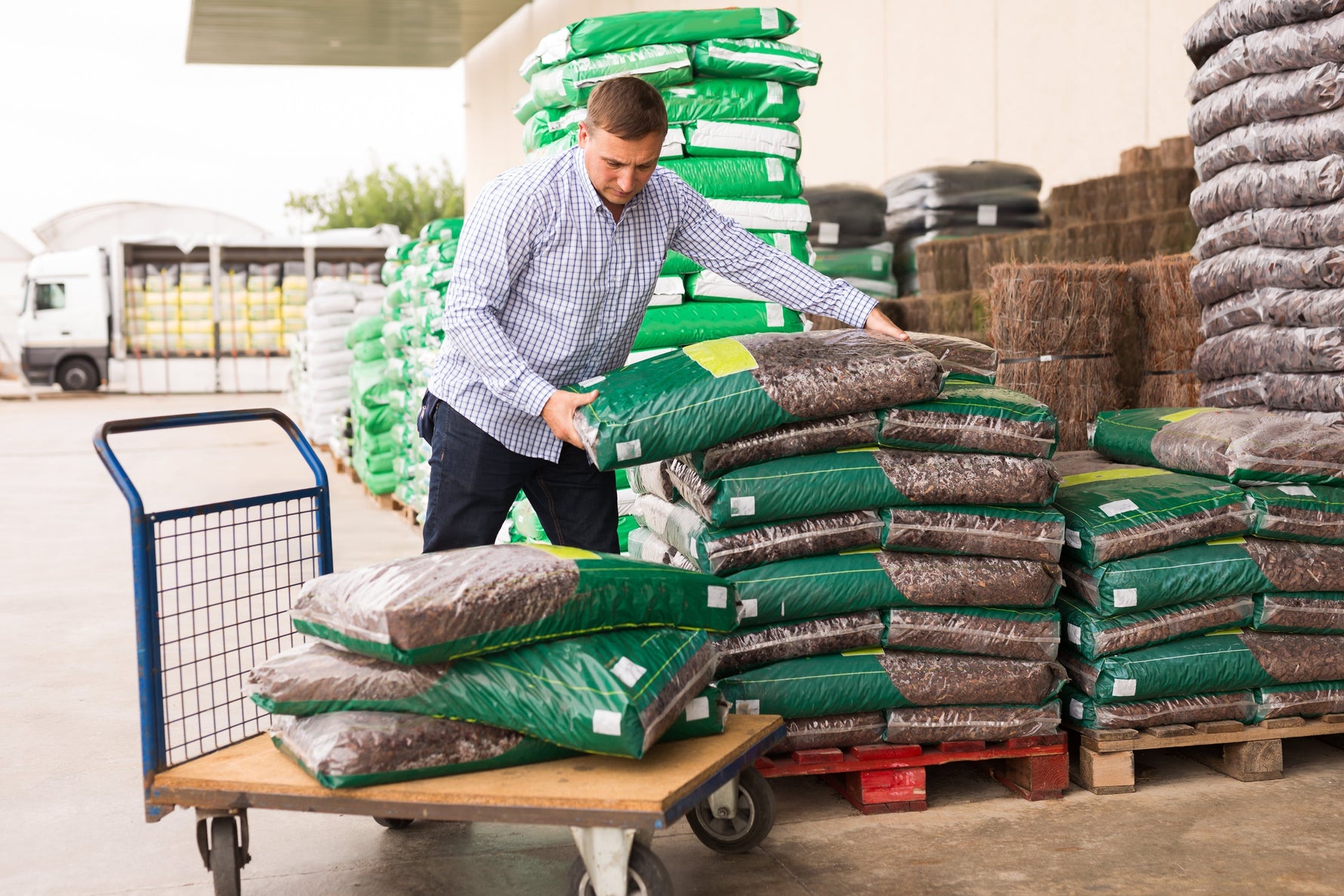buying multi-purpose compost