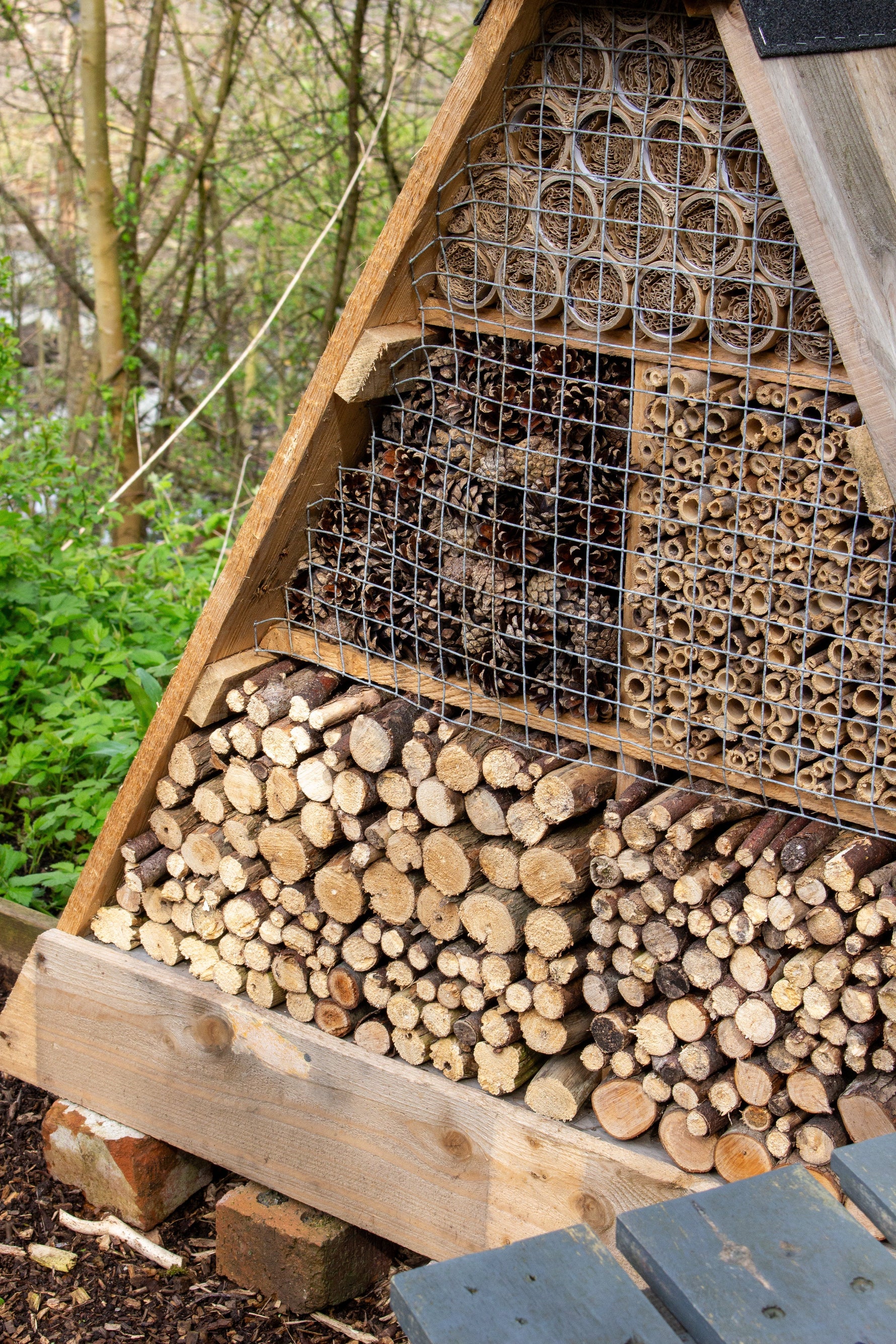 How to Build a Bug Hotel in 5 Steps