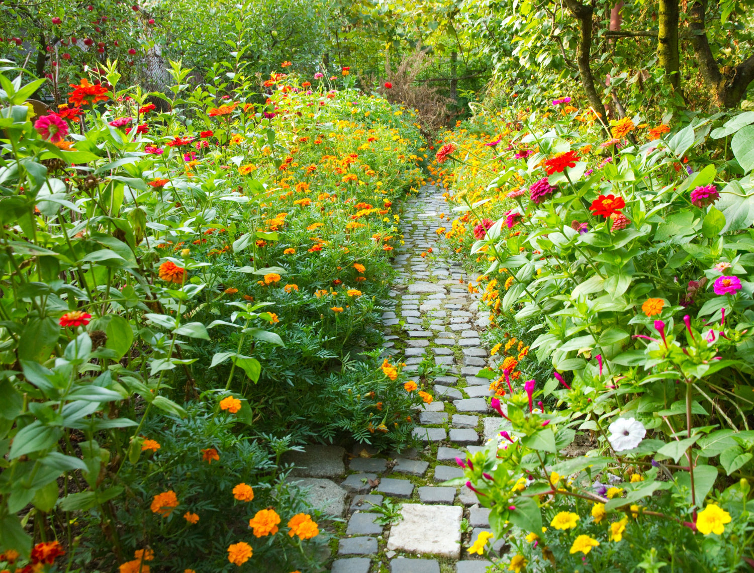 The Ultimate Guide to Permaculture