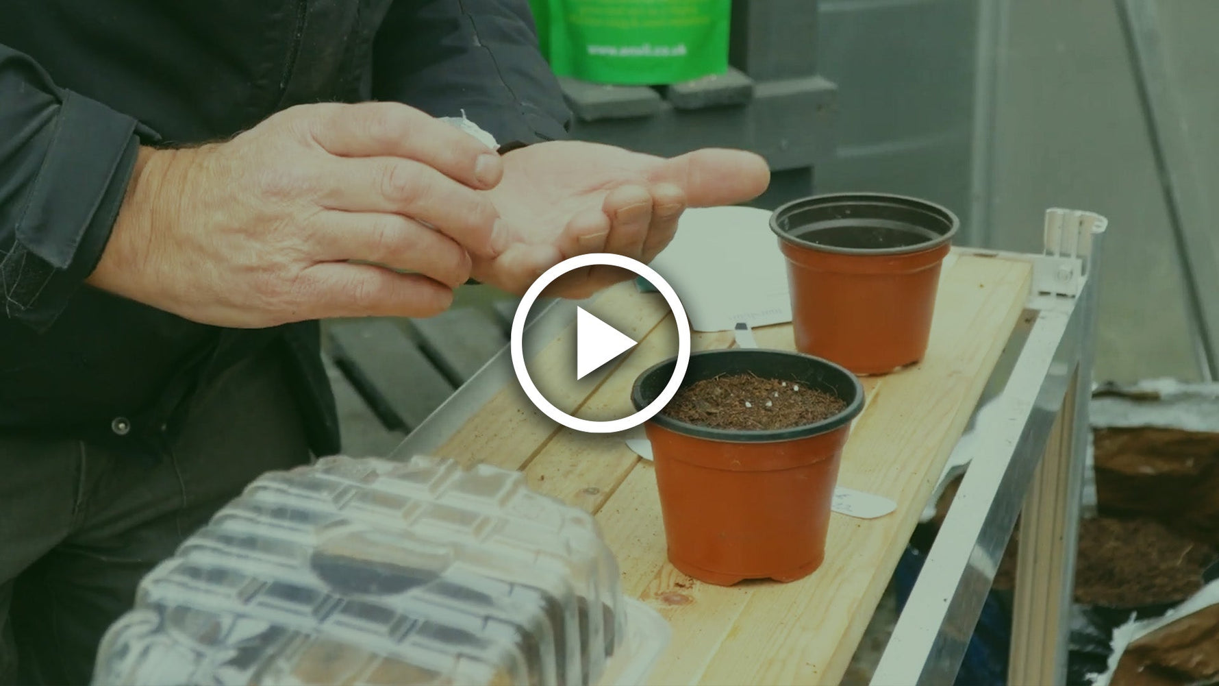 How to Sow Seeds (A Beginner’s Guide)