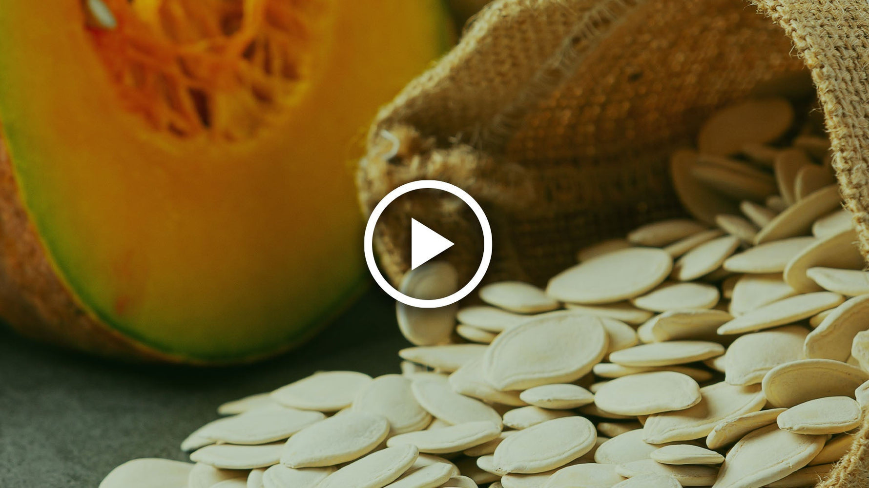 sow squash seeds