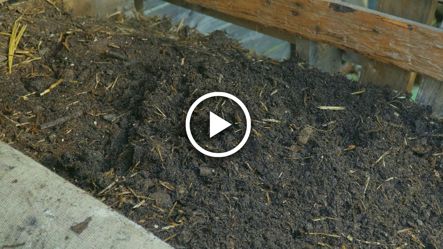 homemade compost as mulch