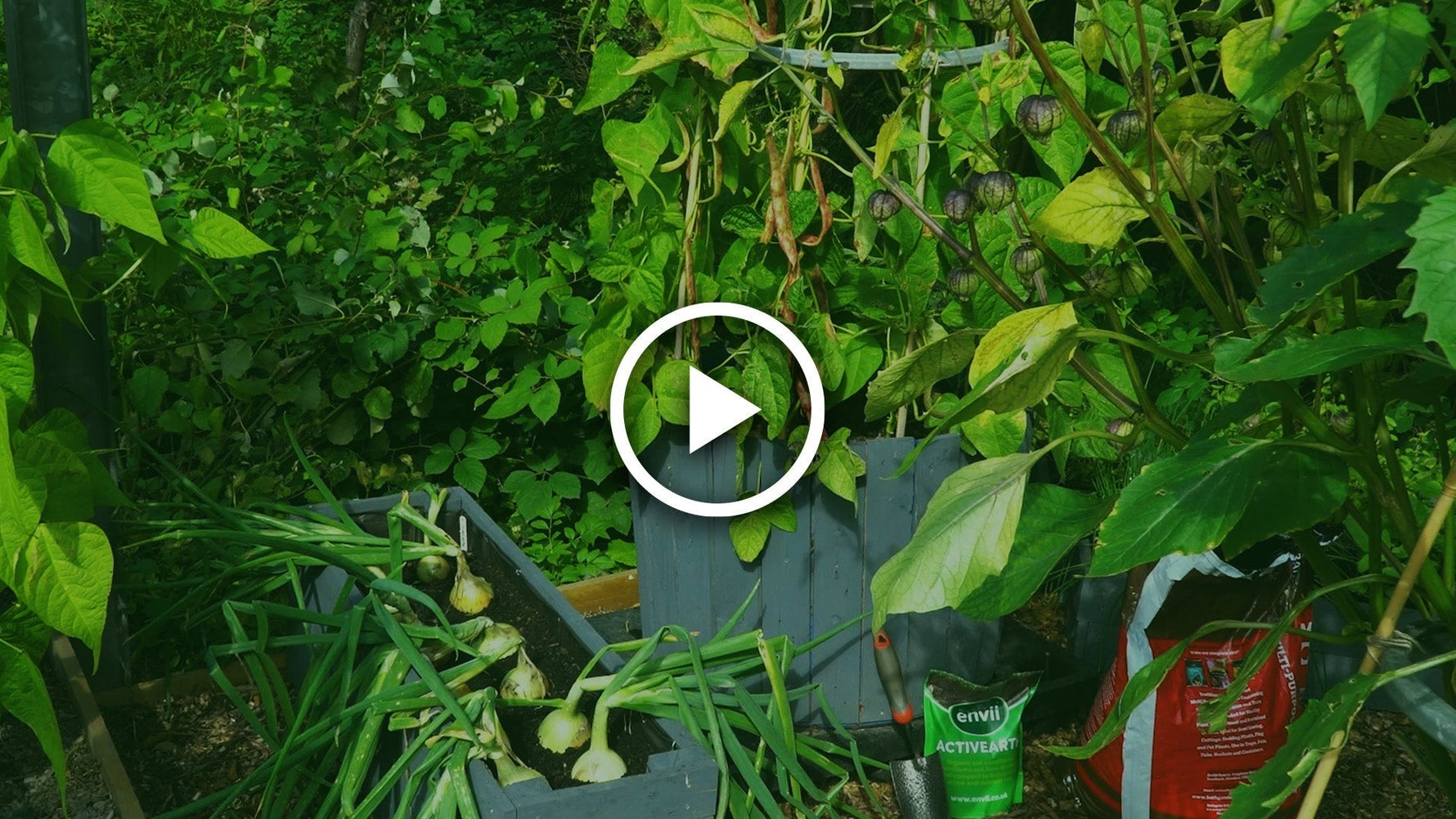 succession planting tutorial