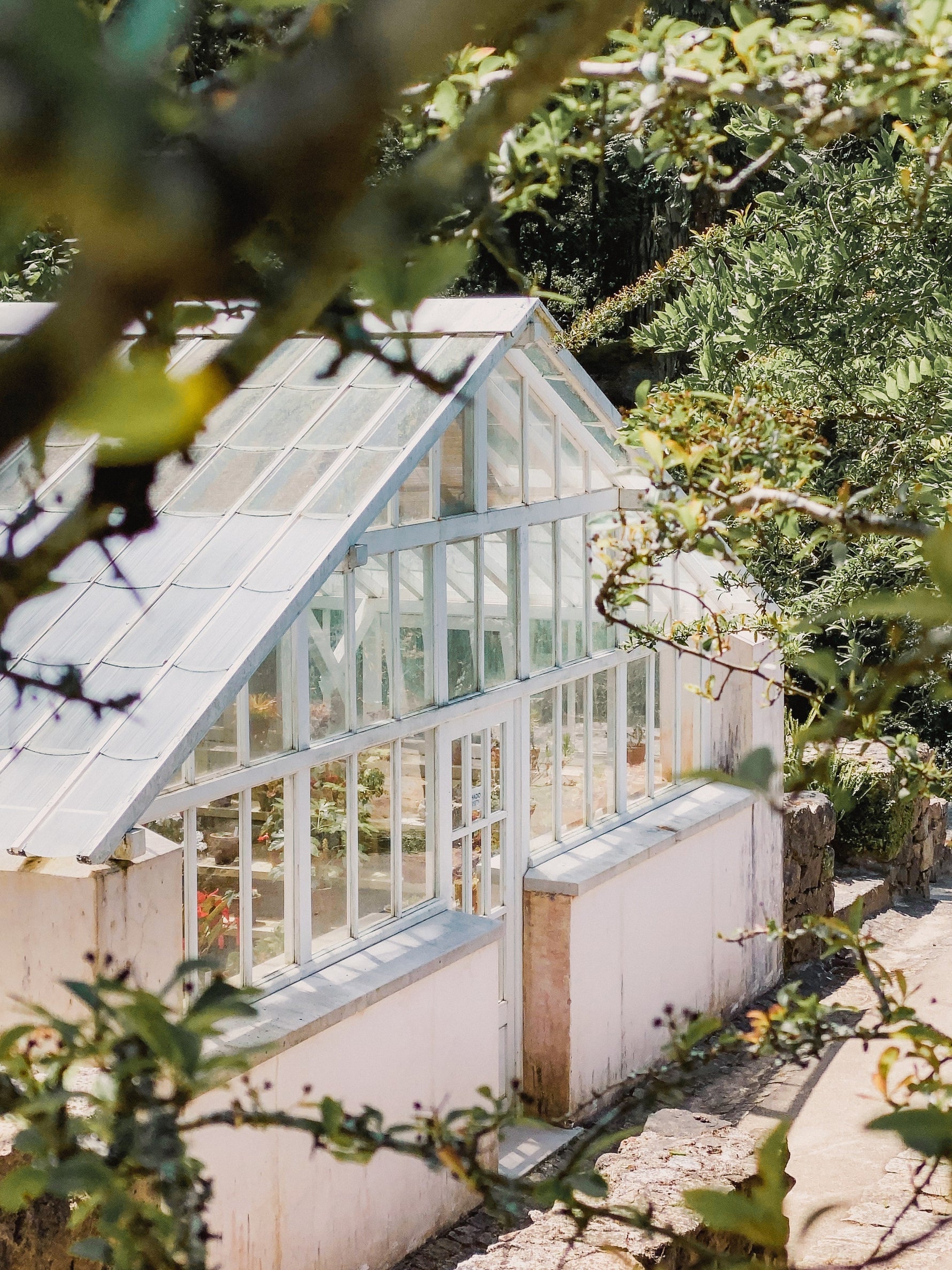 view of a large greenhouse