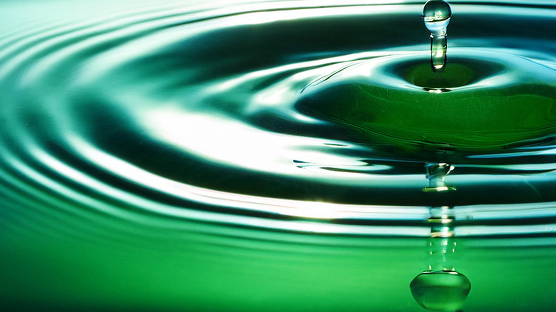 Product Ingredient - Ascorbic Acid