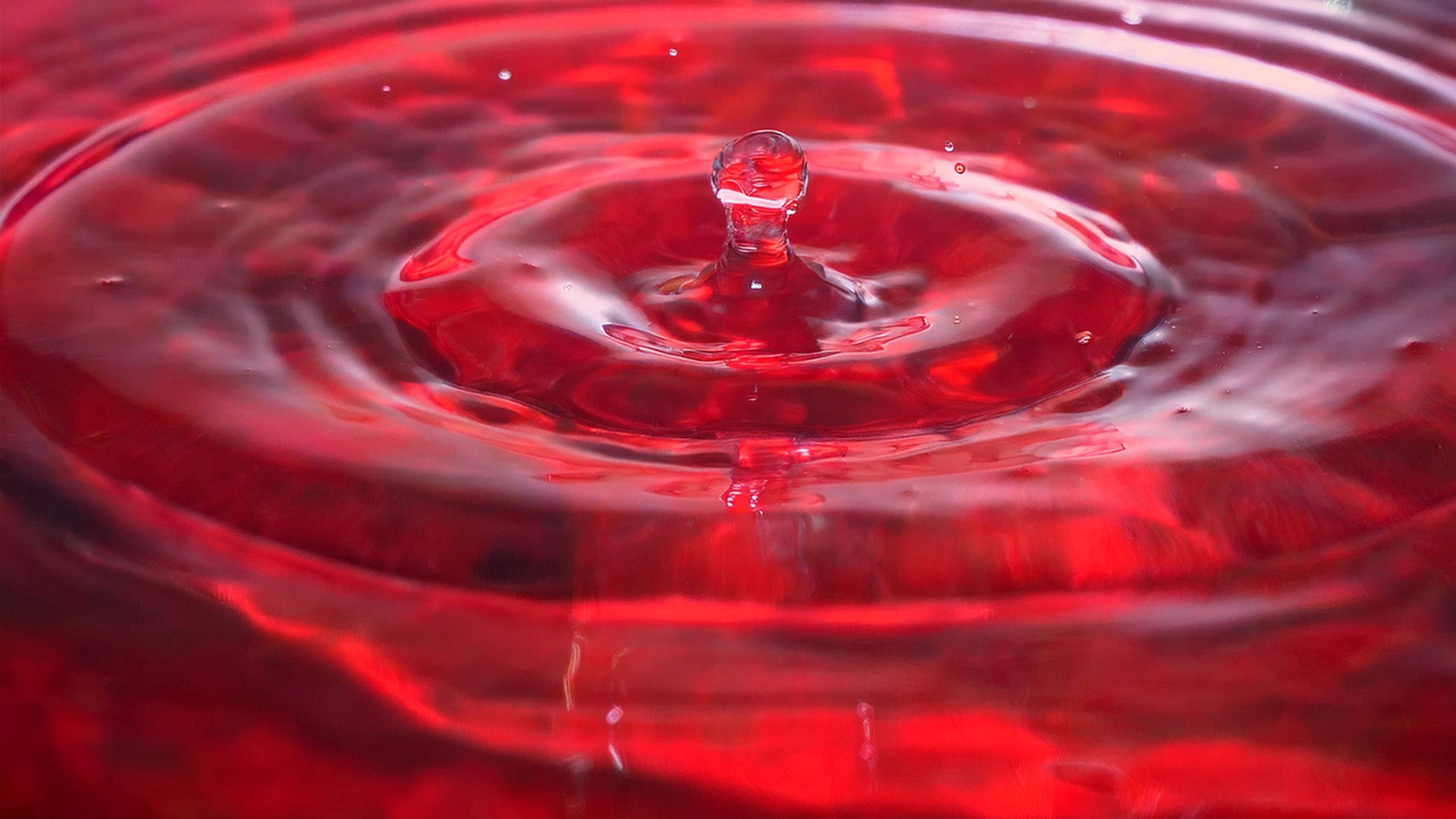 Product Ingredient - Copper Sulphate