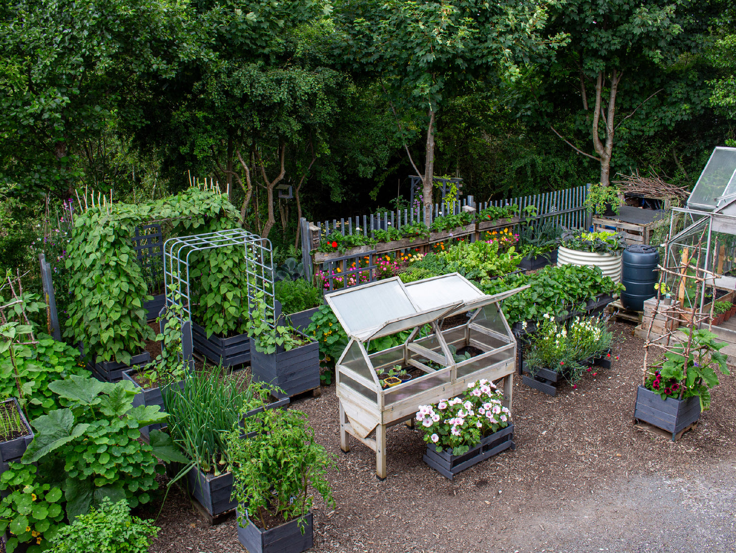 The Envii Garden