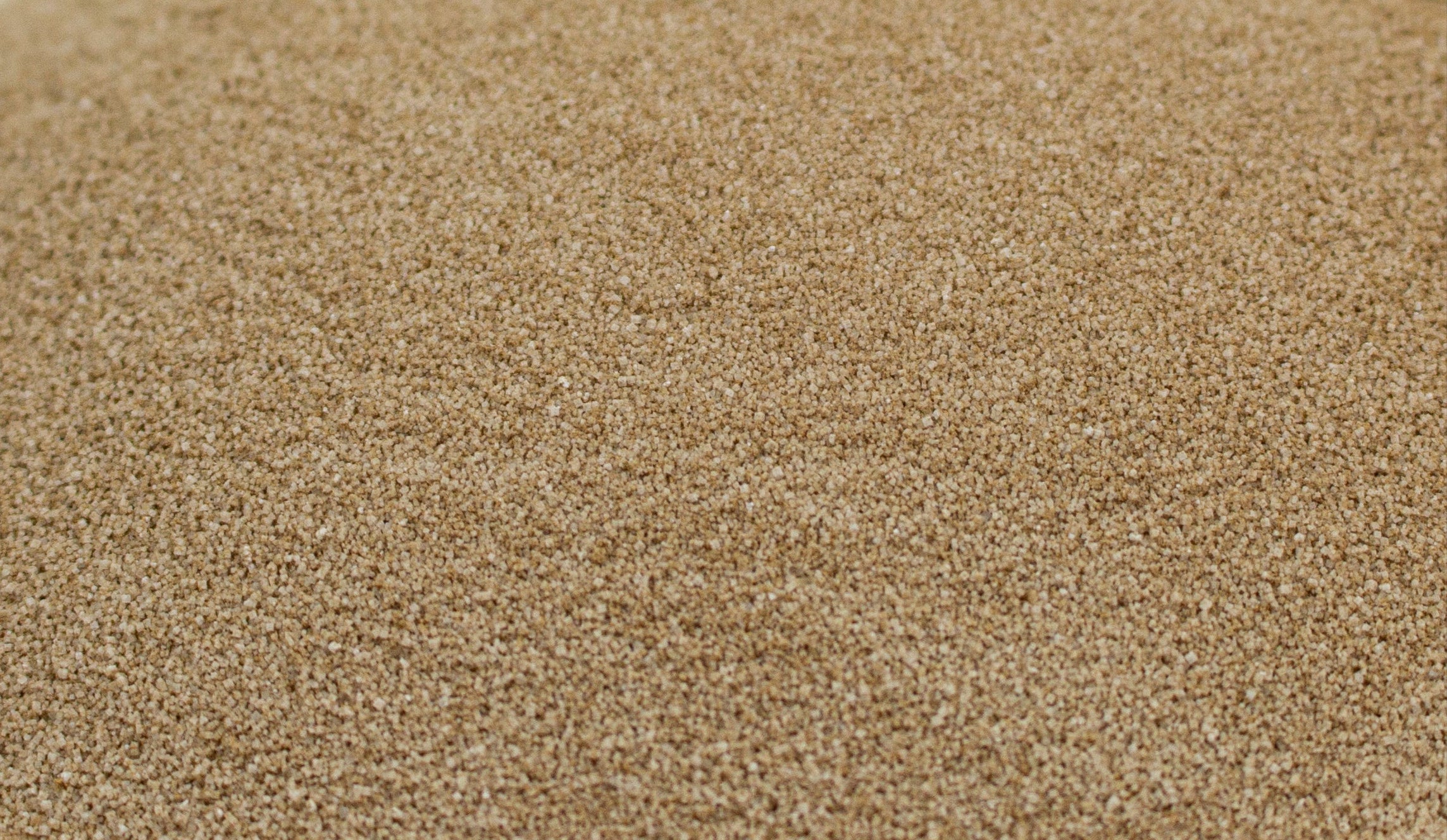 Product Ingredient - Enzymes