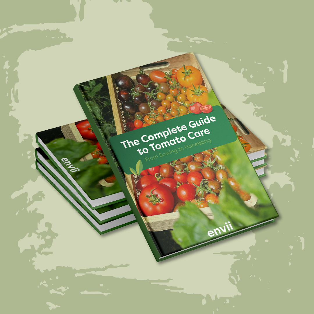 The front cover of the tomato ebook