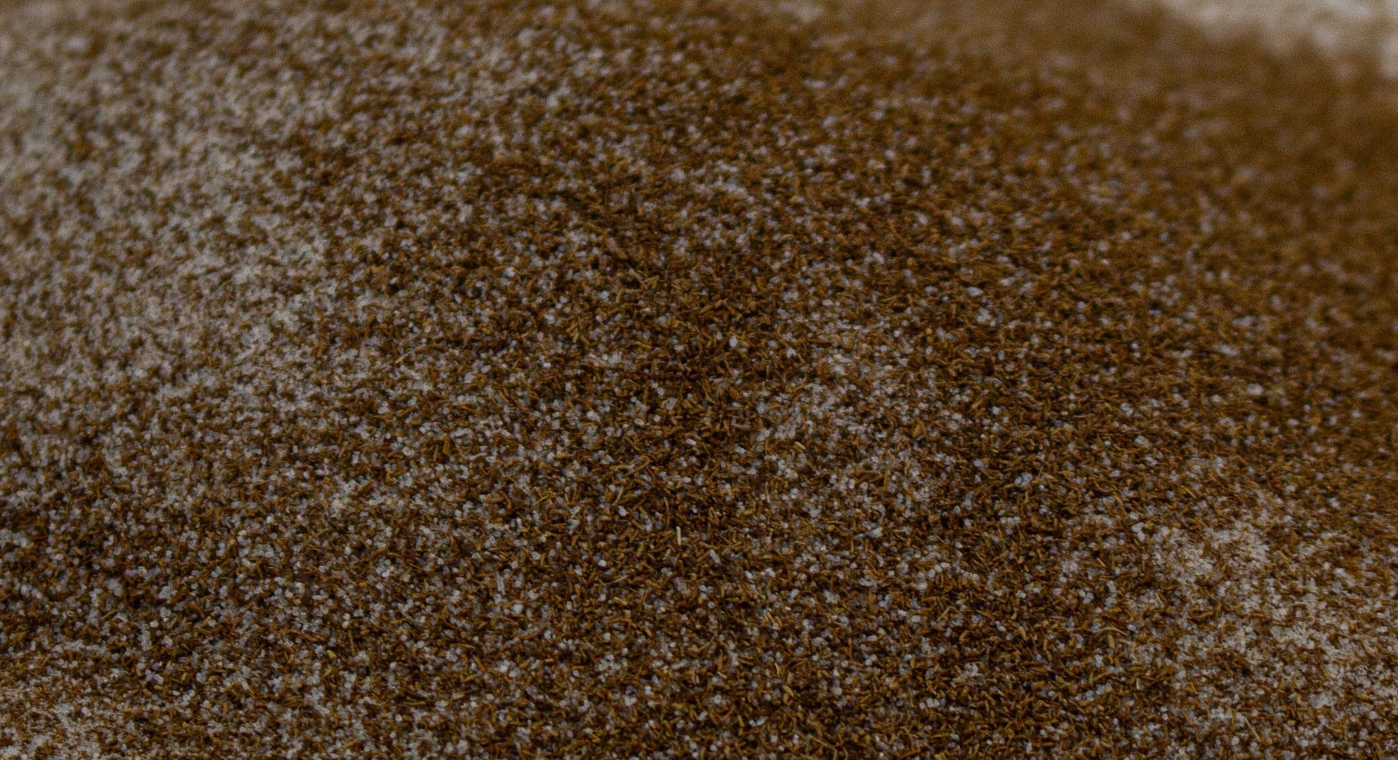 Product Ingredient - Mycorrhizal Fungi