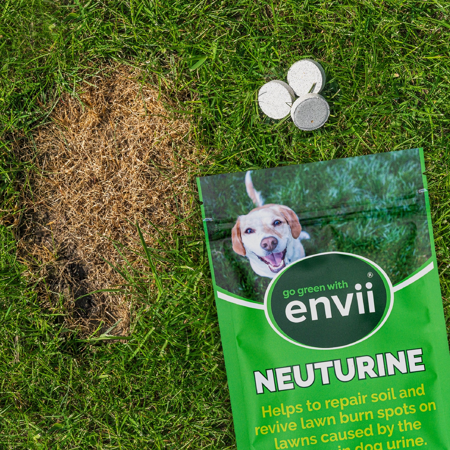 Neuturine - envii