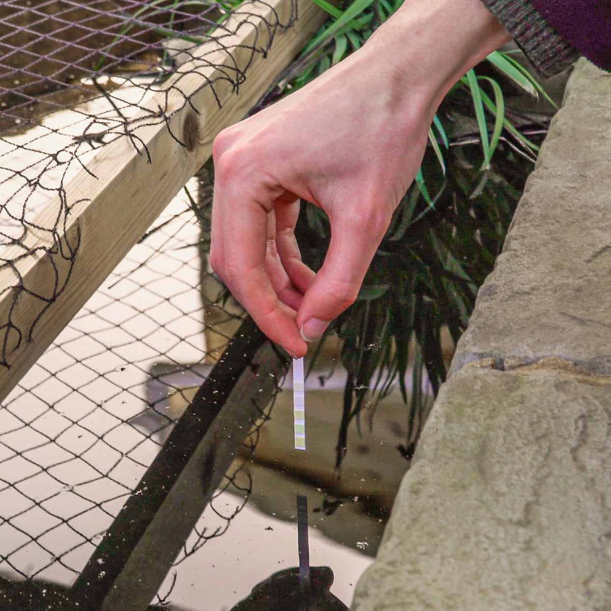 Pond Test Strips - envii