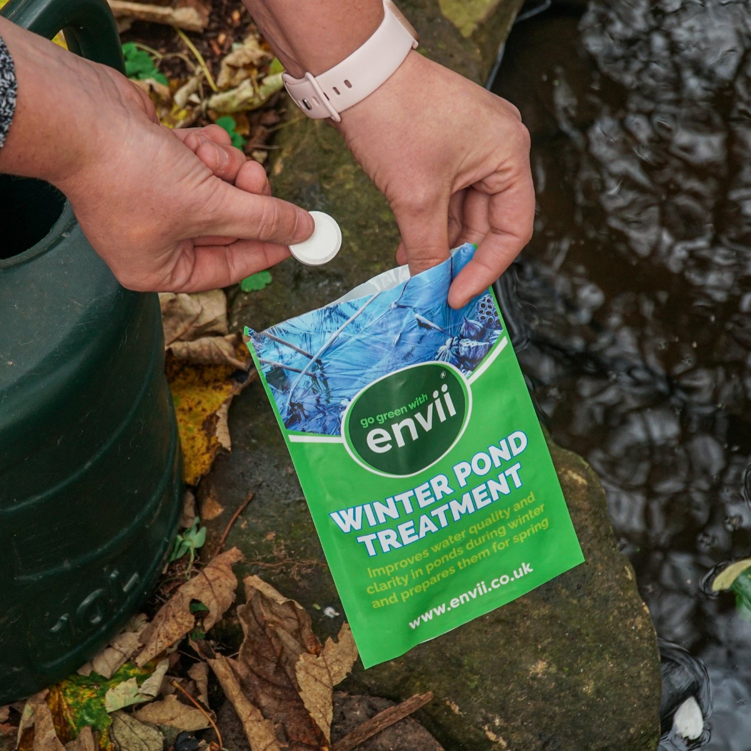 Winter Pond Treatment - envii