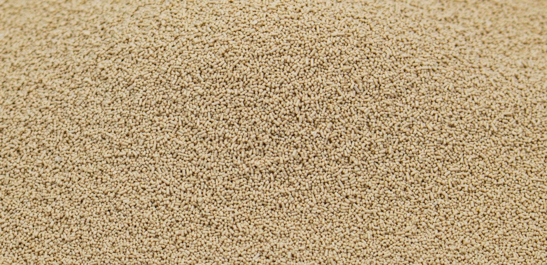 Product Ingredient - Yeast