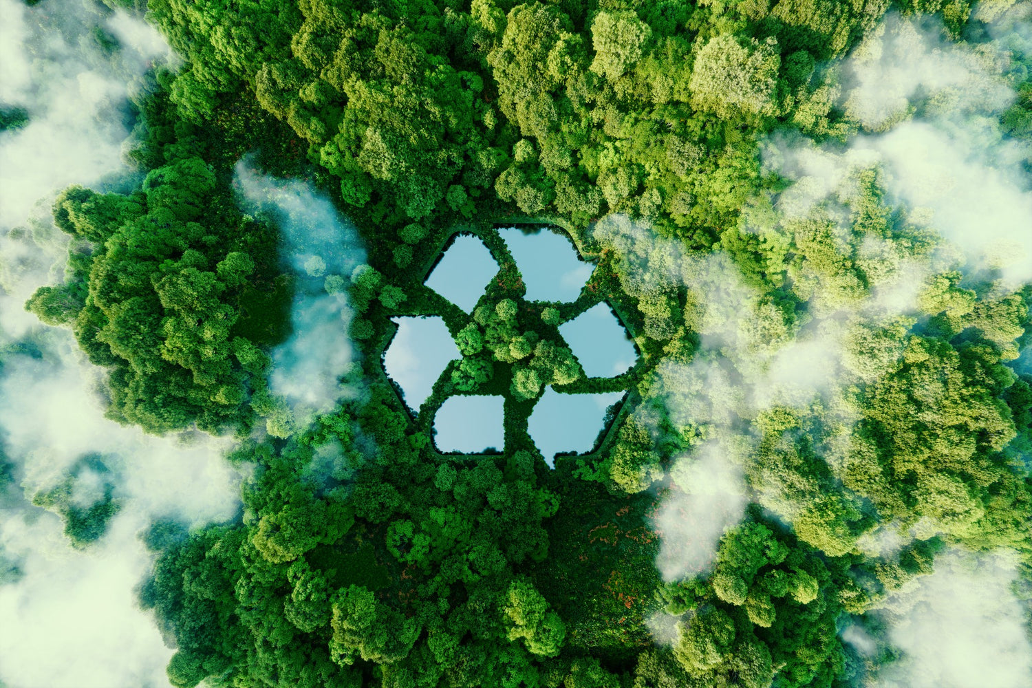 Birdseye view of a forest with recycling logo in the centre.