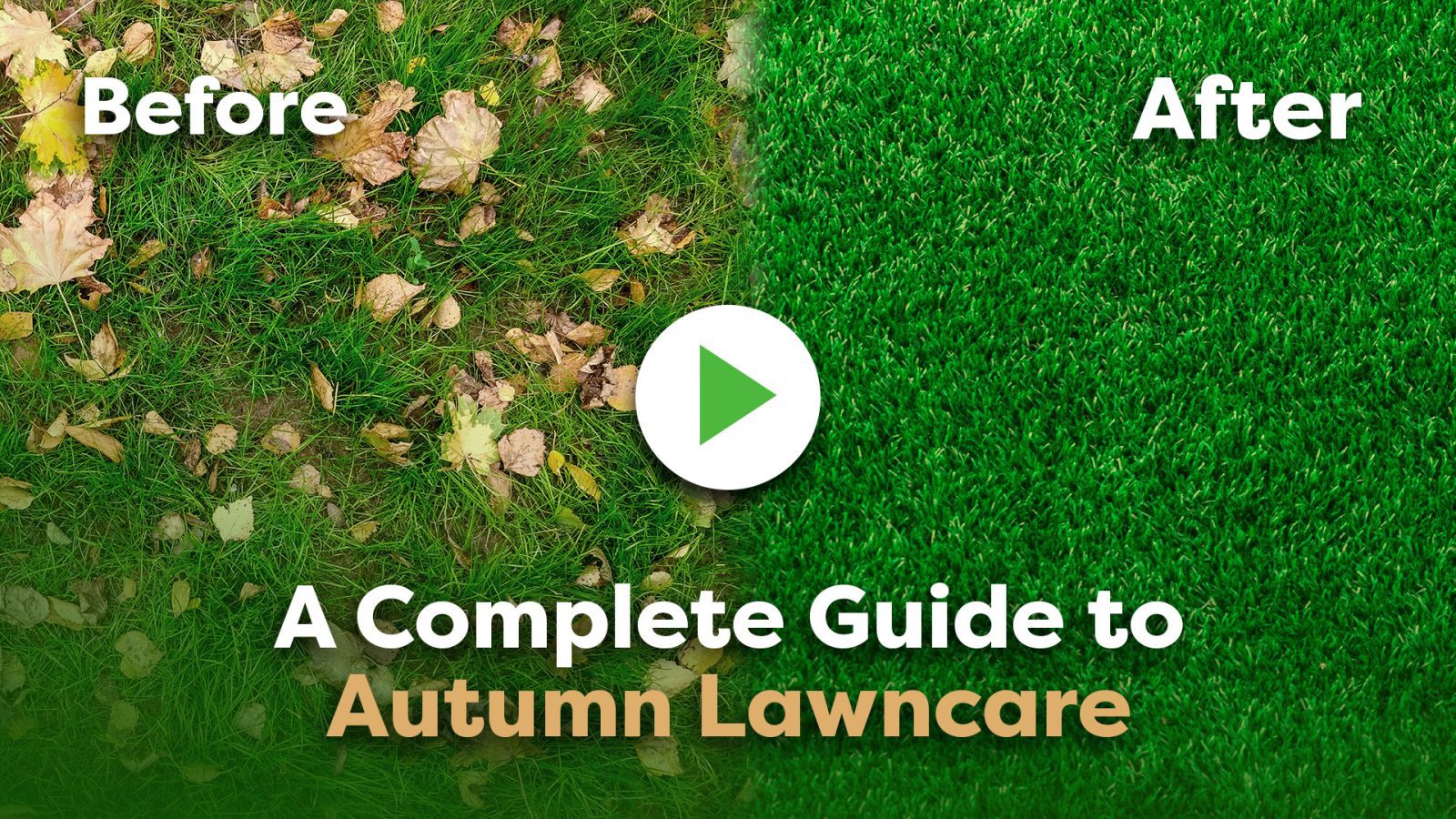 5 Jobs To Do In Autumn For A Lush Lawn Lawn Care Guide Envii