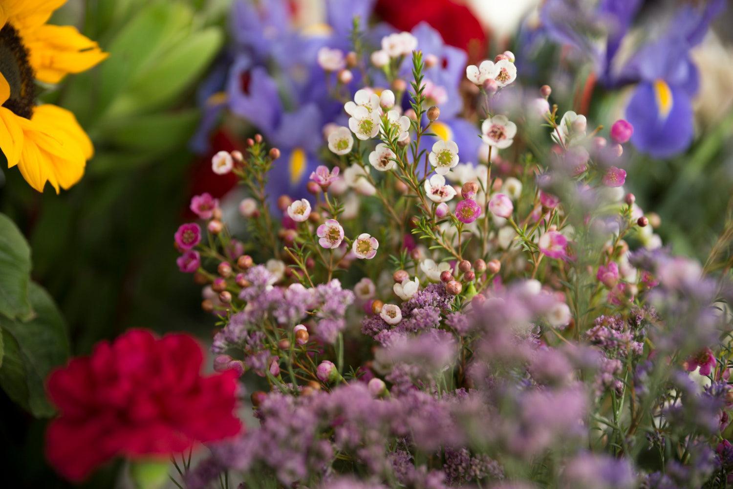 How To Plan A Garden - envii