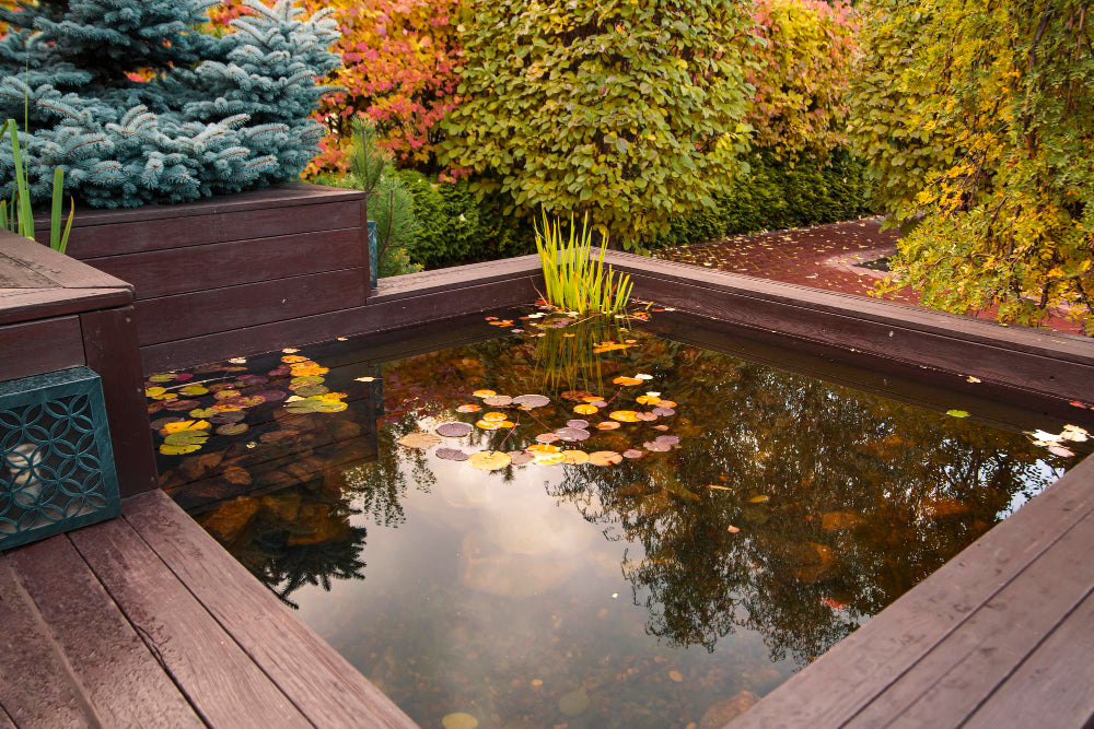 How to Balance pH Levels in Your Pond Naturally and Safely