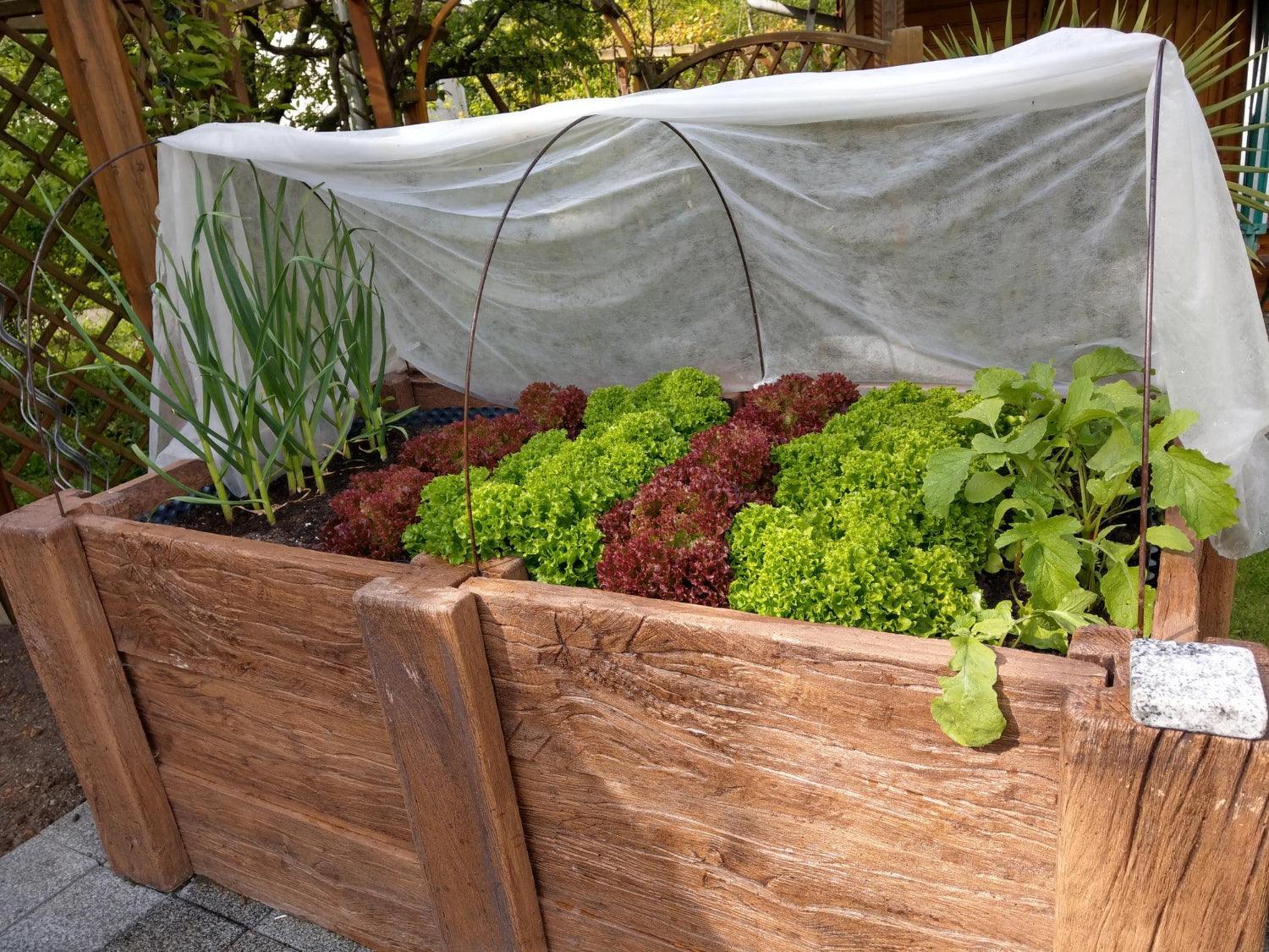 The Best Vegetables to Grow in a Raised Bed - envii