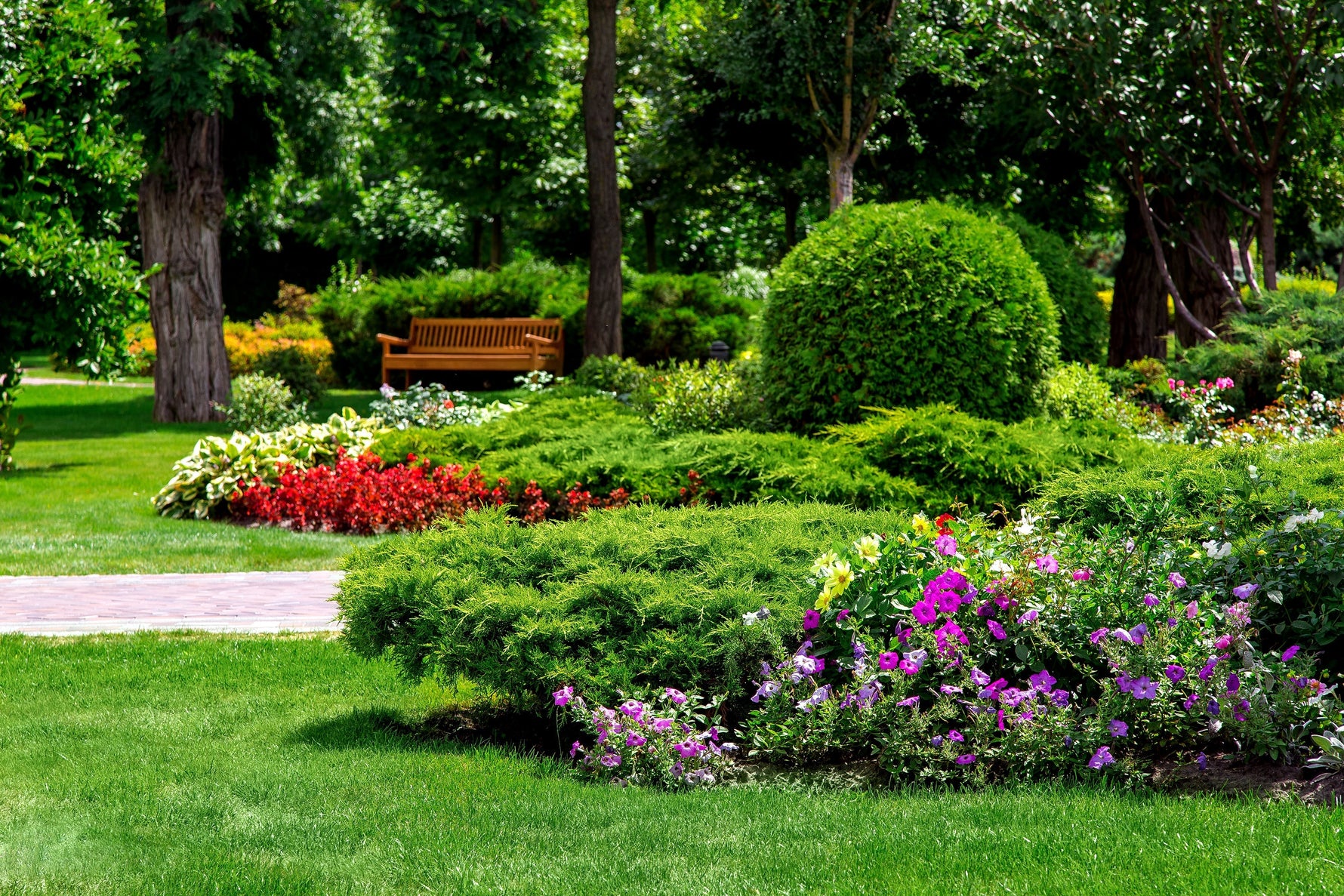 Gardening Tips for August - envii
