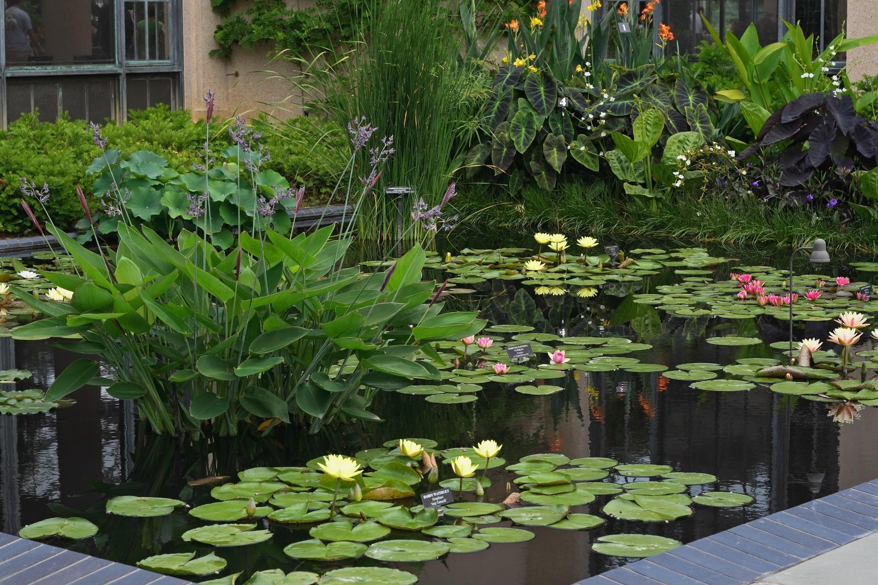 The Ultimate Do's & Don'ts Guide For Ponds - envii