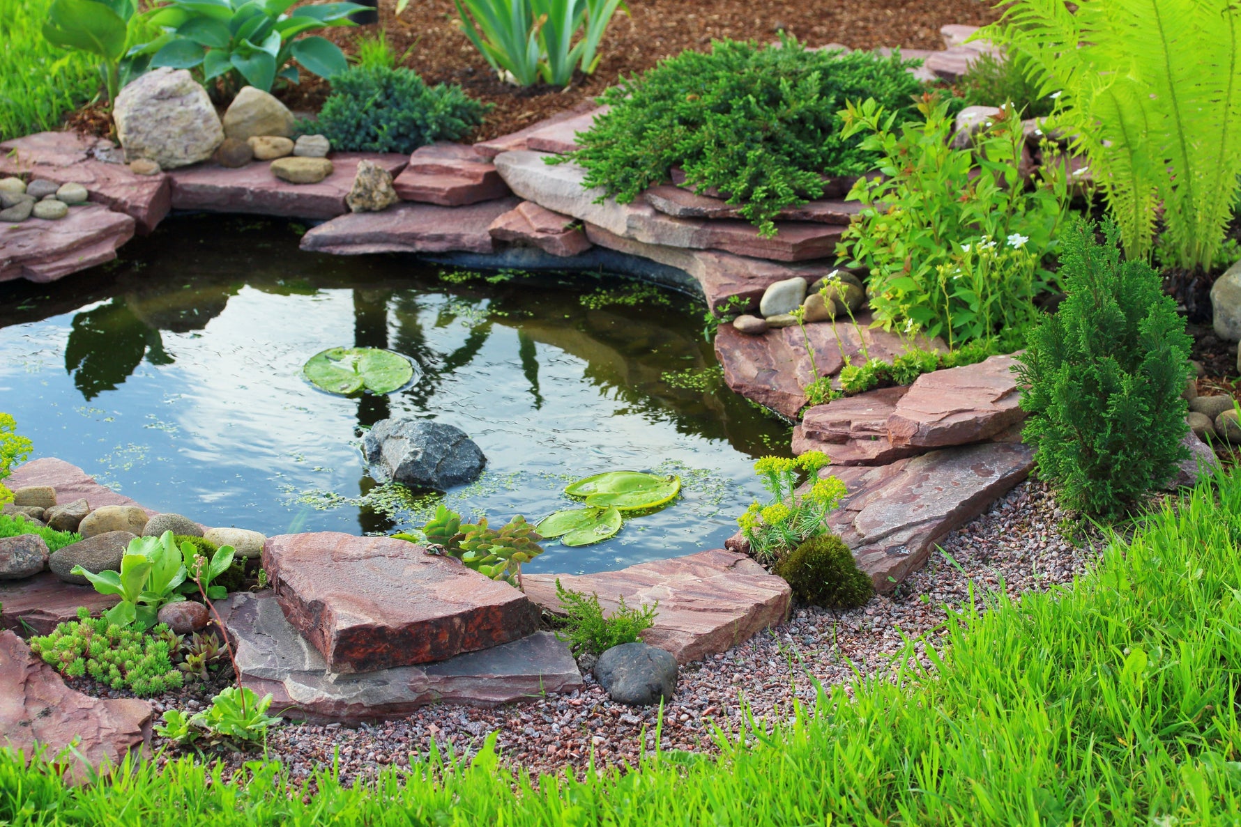 7 reasons why your garden pond is losing water - envii