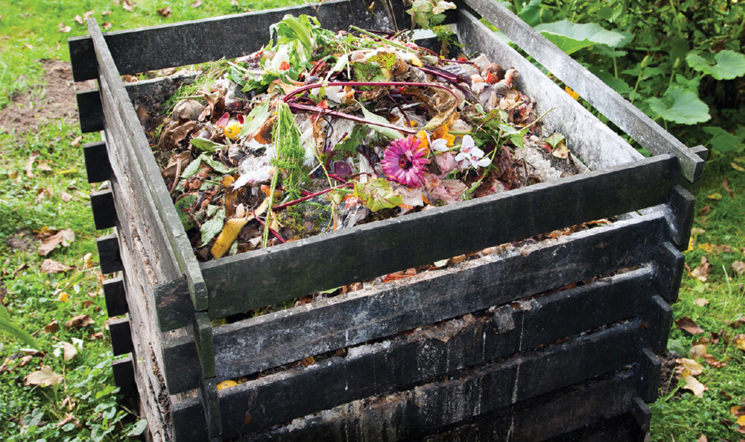 Common Compost Materials and What To Avoid - envii