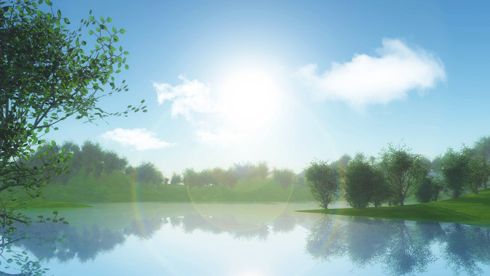 Summer Pond Maintenance: How to Protect Your Pond During a Heatwave