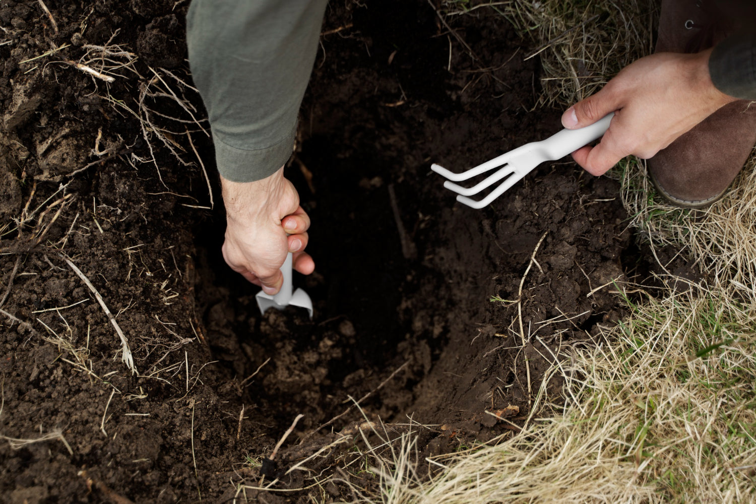 Why You Should Protect Plants Beneath the Soil