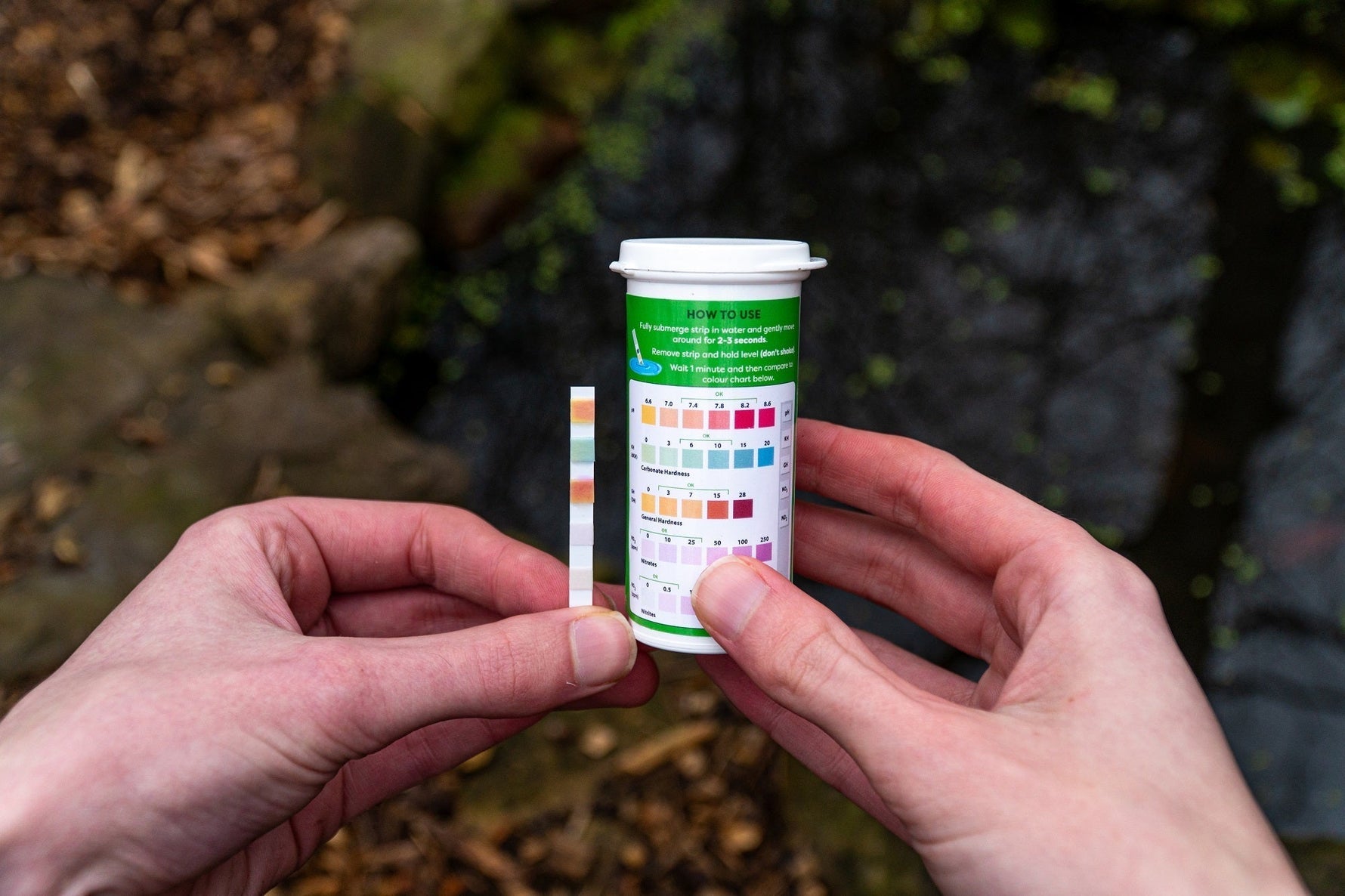 Testing pond water parameters with test strips