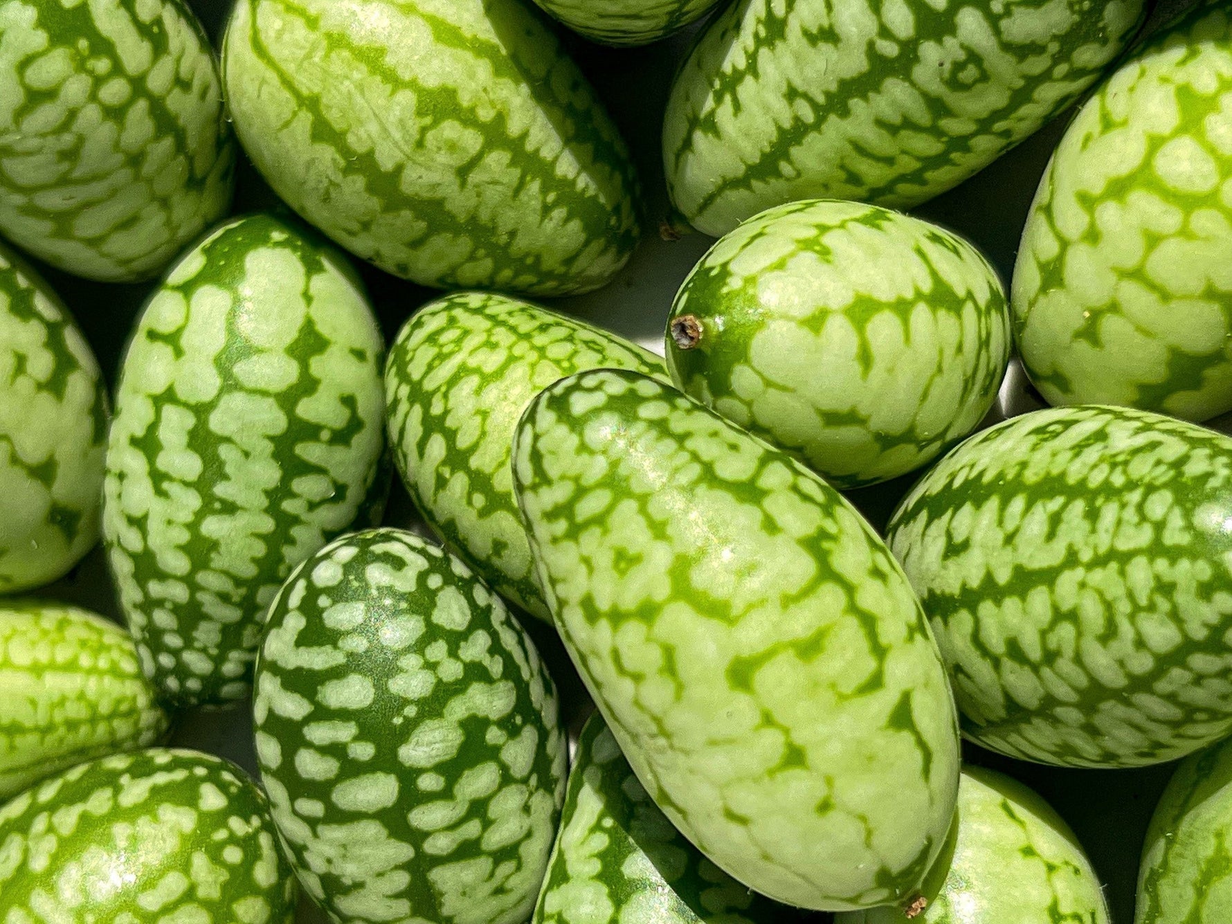 close up of cucamelons