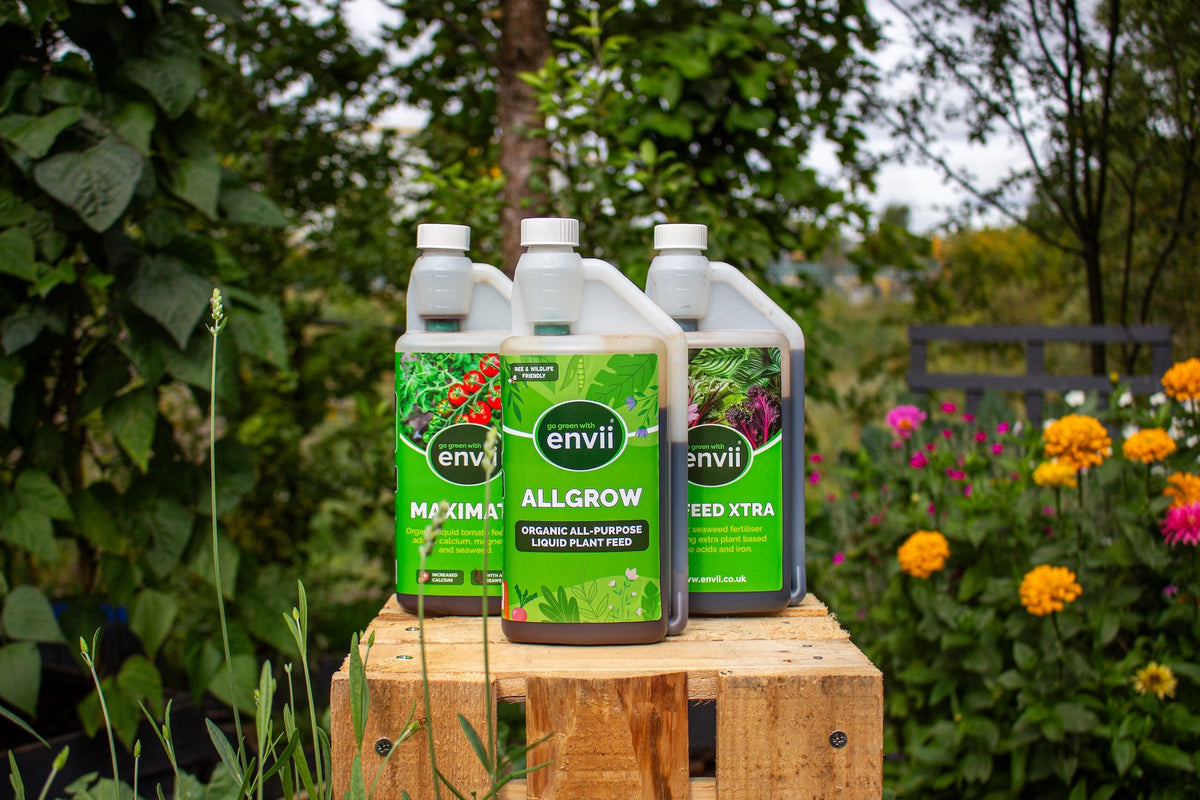 NPK: Understanding The Secret To Healthy Plants