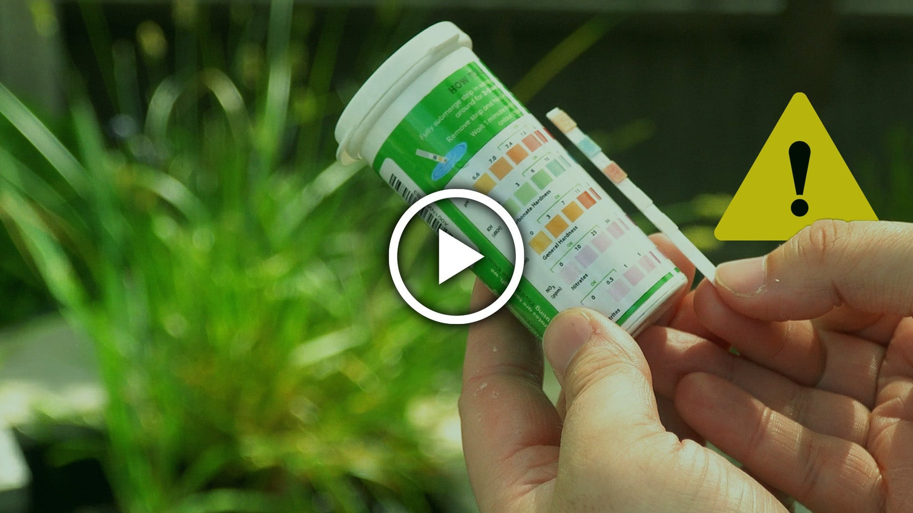 Pond Nitrates Explained: What Causes Them & How to Remove Them Naturally
