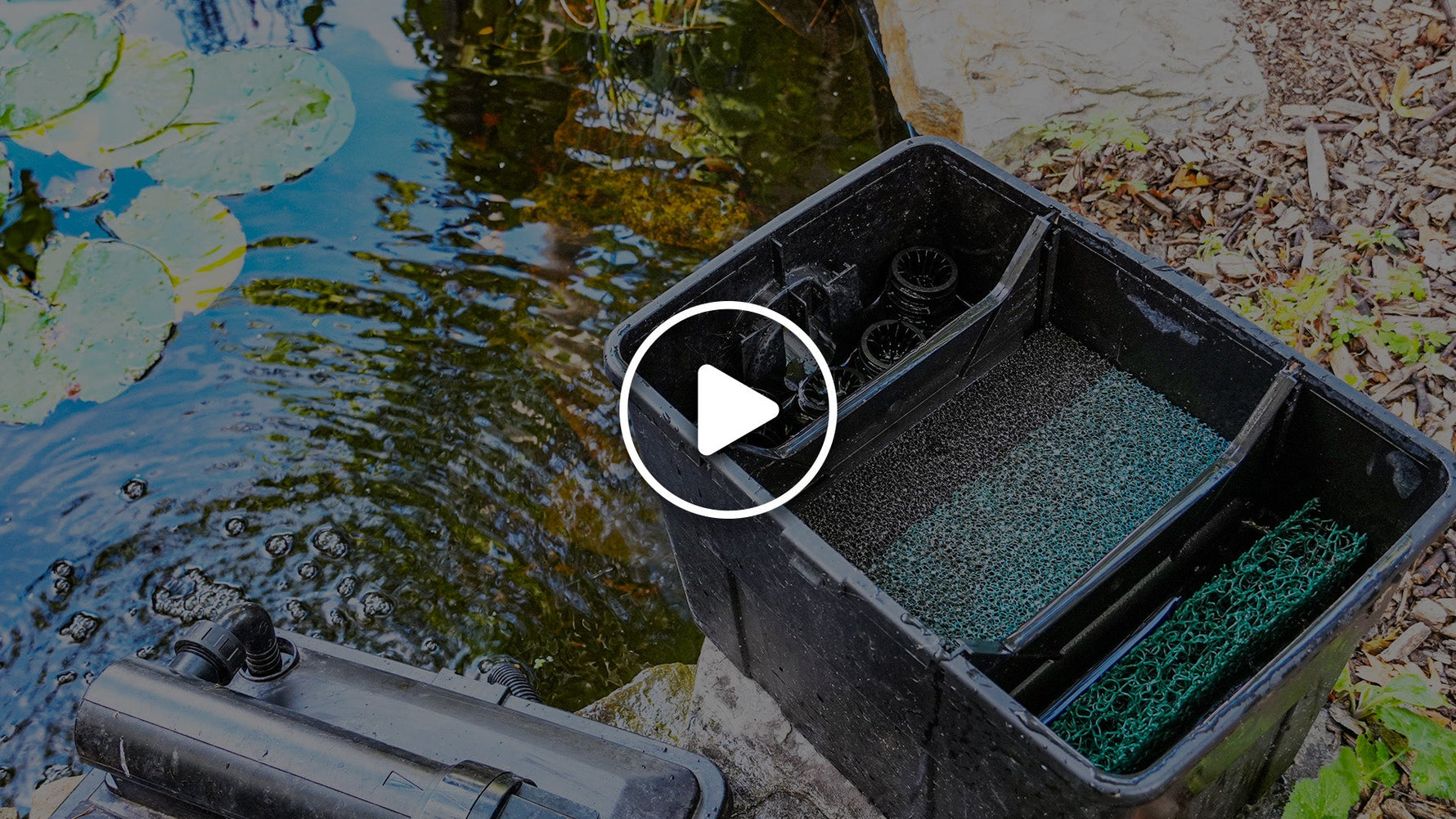 How to Clean Pond Filters (and Why It's So Important)