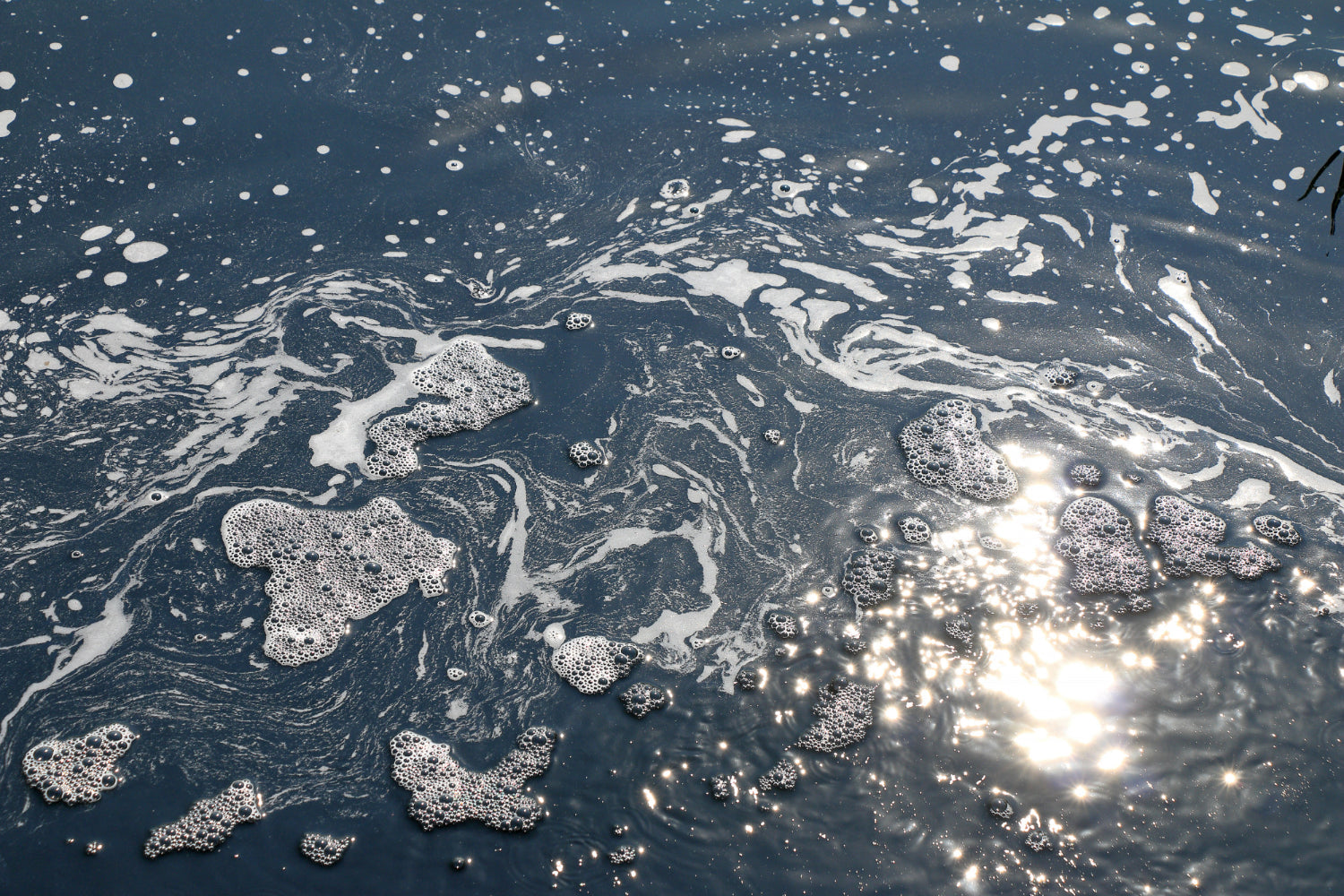 Why Is My Pond Foamy? - envii