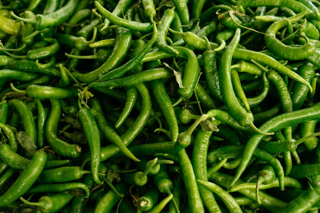 The Ultimate Guide to Growing Chilies From Seed - envii