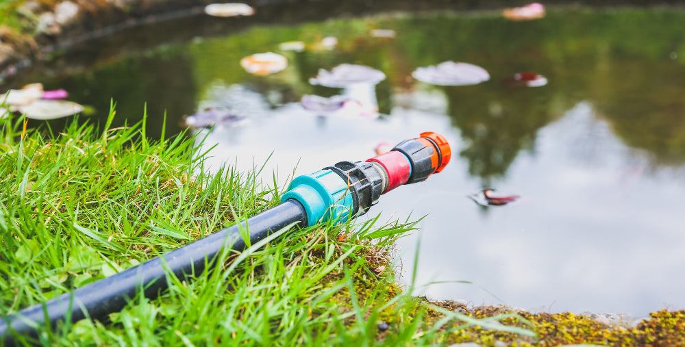 How to Top Up Your Pond Water Safely
