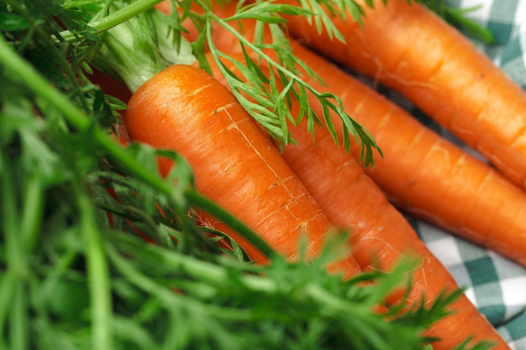 carrots