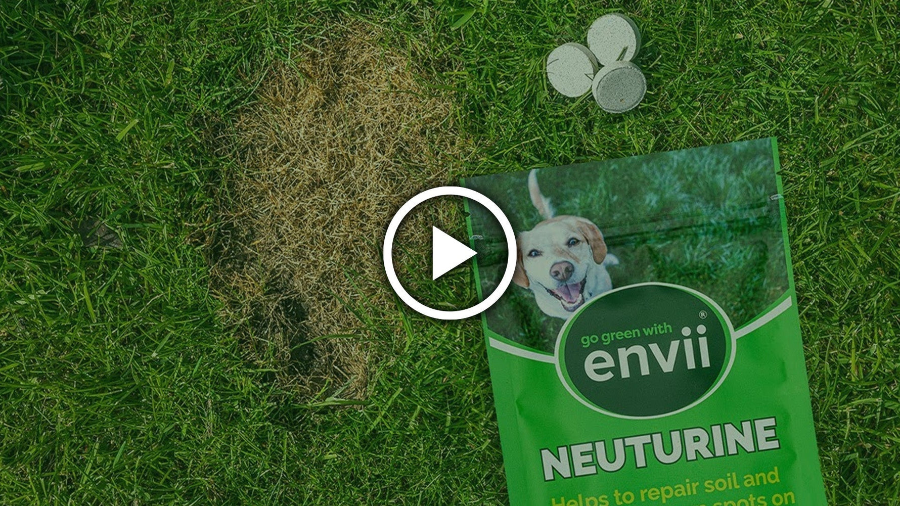 How to Use Neuturine