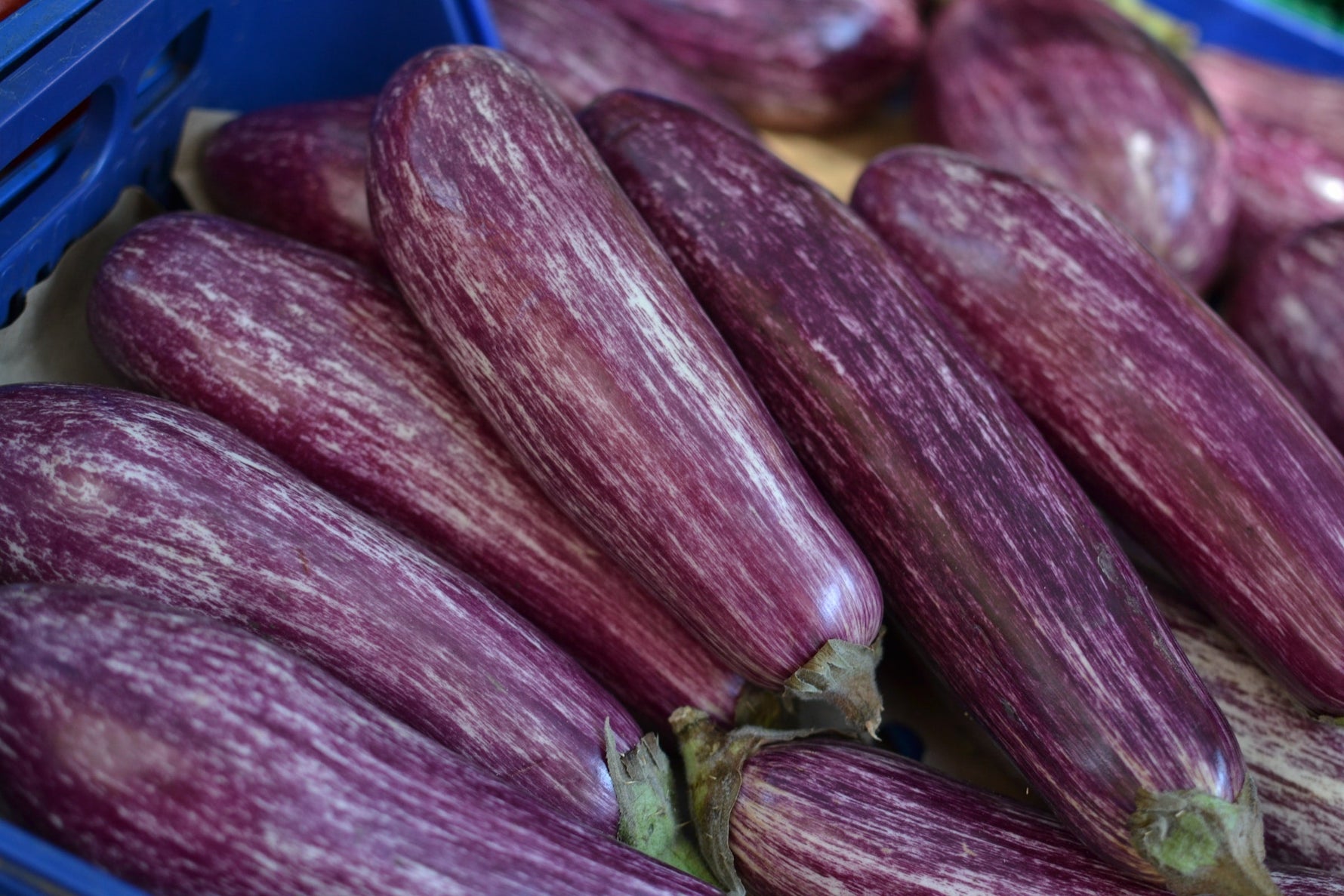 aubergines