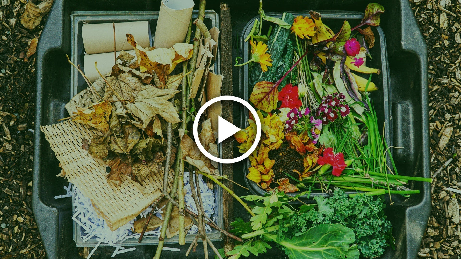 ultimate guide to compost