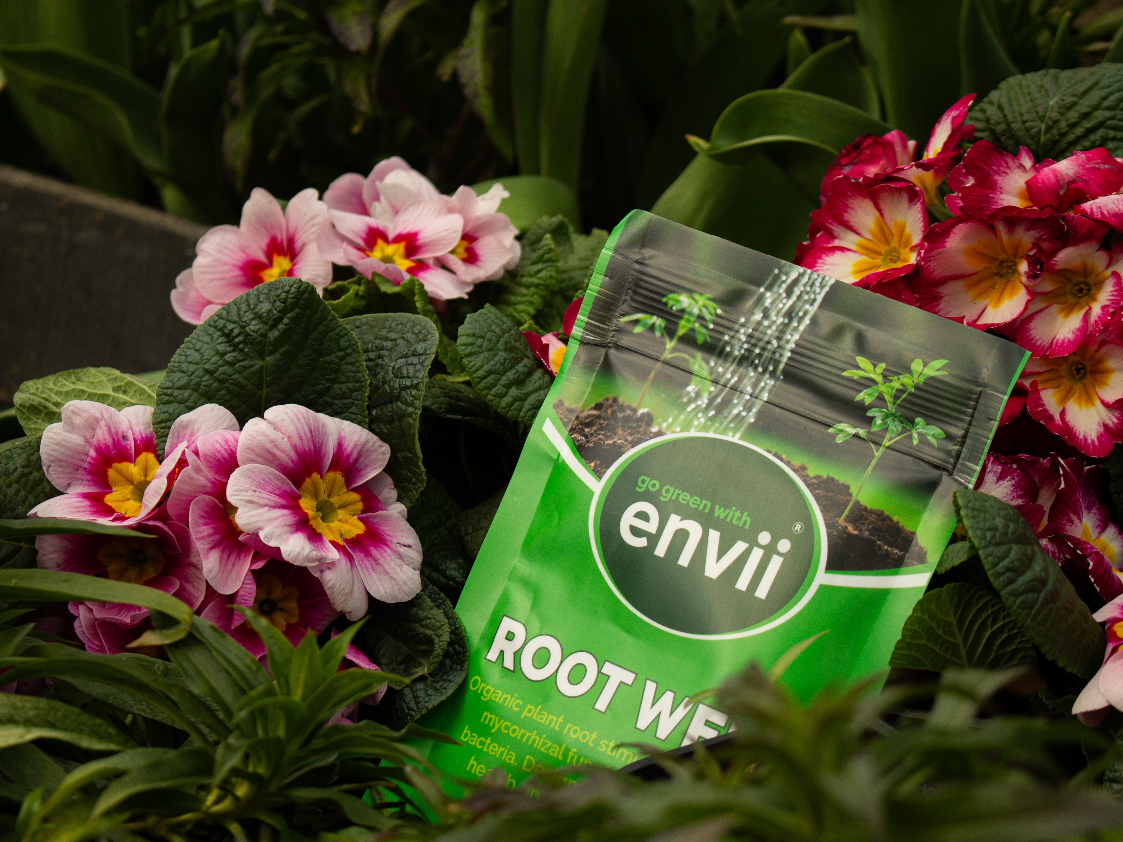 Best Sellers - envii