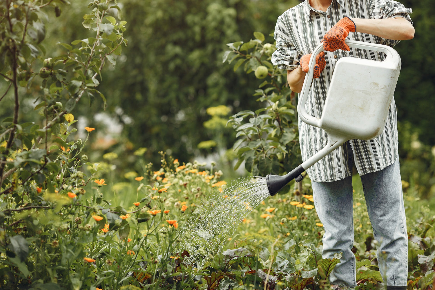 Plant Fertilisers - envii
