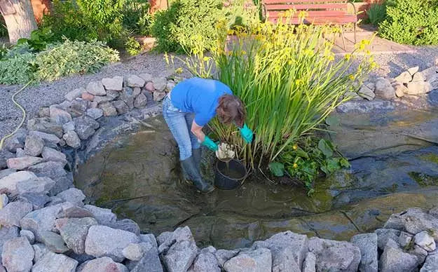Sludge Removal - envii