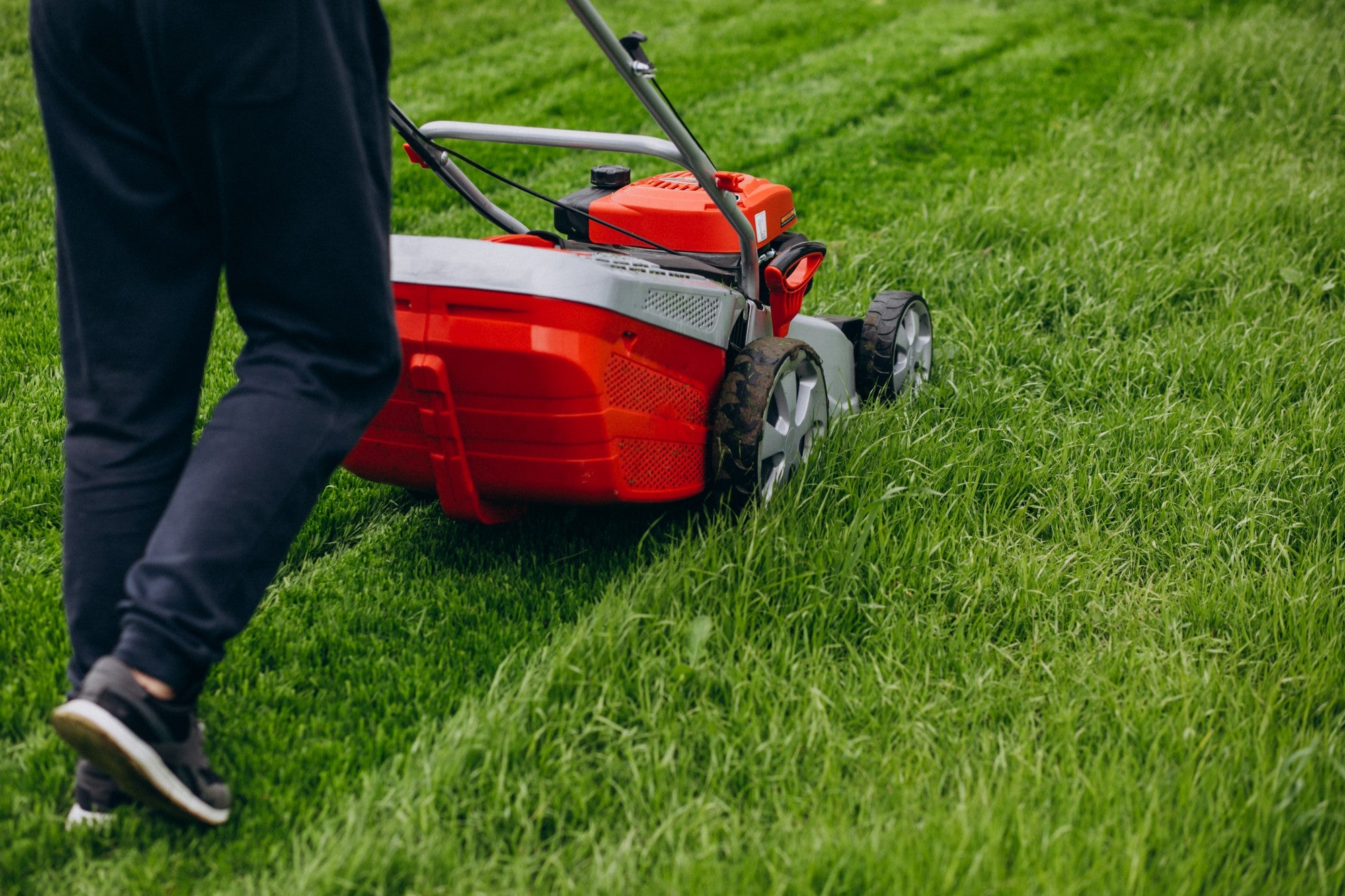 Lawn Care - envii