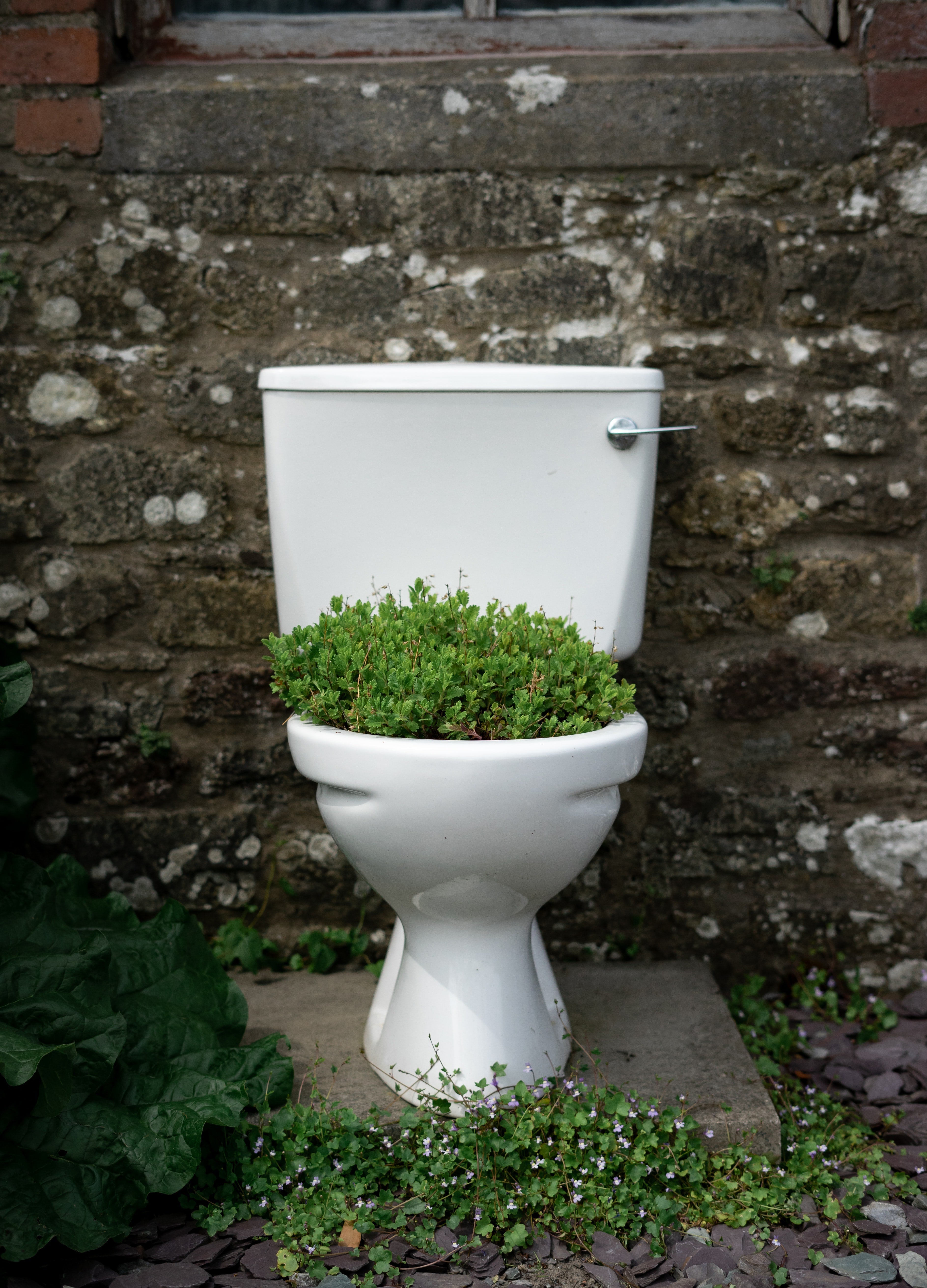Septic Tank Drain Treatment - envii