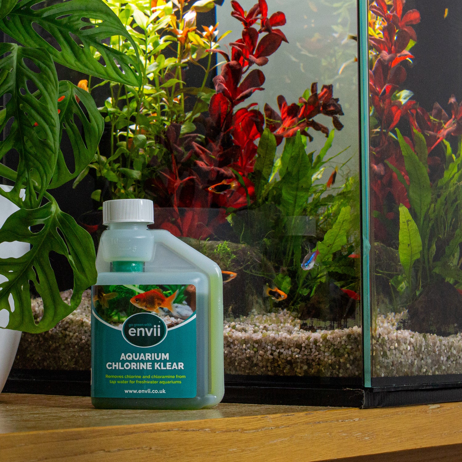 Aquarium Chlorine Klear next to an aquarium